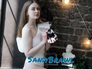 SandyBrawl