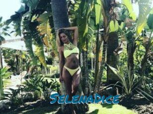 SelenaDice