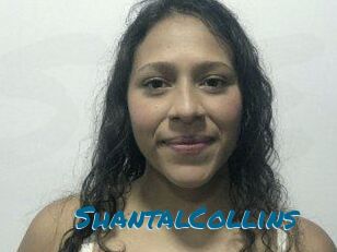 ShantalCollins Sexcams Live Erotik