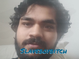 Slaveboybitch Sexcams Live Erotik