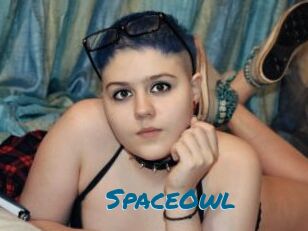 SpaceOwl