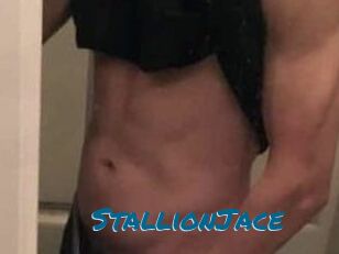 StallionJace