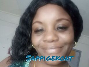 Sappigekont