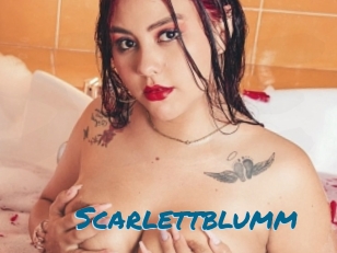 Scarlettblumm