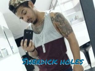 Sherdick_holes