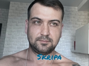 Skripa