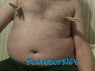 Slaveboy3164