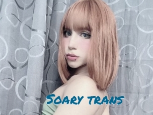 Soary_trans