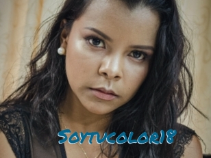 Soytucolor18
