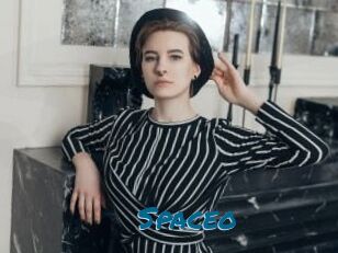 Spaceo
