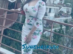 Sunehrikudi