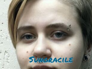 Sungracile