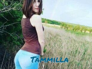Tammilla_