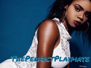 ThePerfectPlaymate