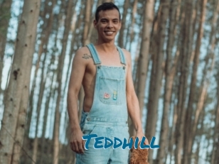 Teddhill