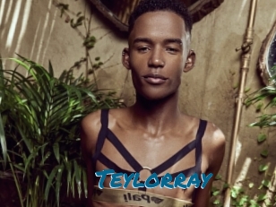 teylorray Sexcams Live Erotik