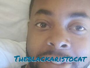 Theblackaristocat