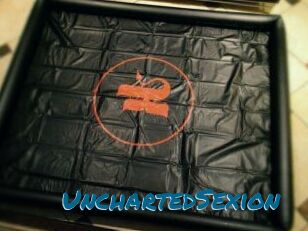 UnchartedSexion