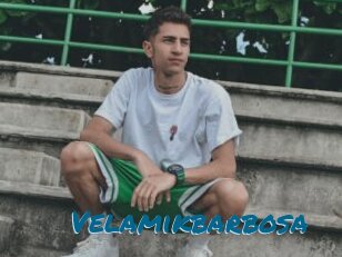 Velamikbarbosa