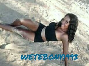 WETEBONY1993
