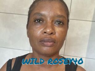 WILD_ROSEY40