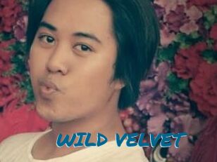 WILD_VELVET