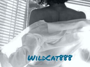 WildCat888