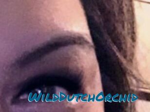 WildDutchOrchid