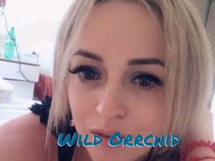 Wild_Orrchid
