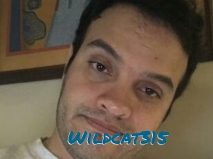 Wildcat315