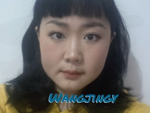 Wangjingy