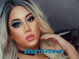whitevenus Sexcams Live Erotik