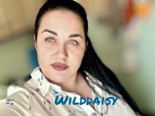 Wilddaisy