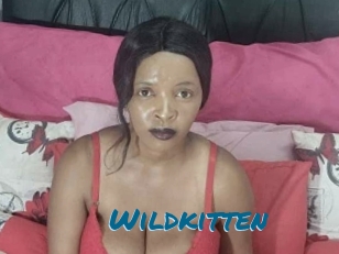 wildkitten Sexcams Live Erotik