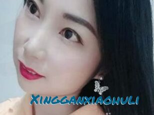 Xingganxiaohuli