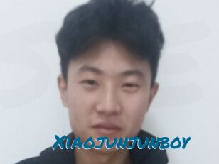Xiaojunjunboy