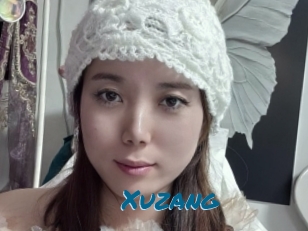 Xuzang