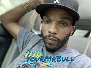 YourMrBull