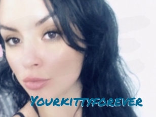 Yourkittyforever