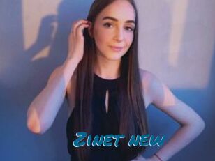 Zinet_new